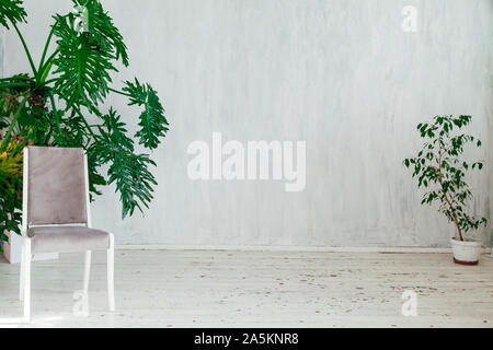 Grau Stuhl mit Home Pflanzen in das Innere eines alten grauen Raum Stockfoto