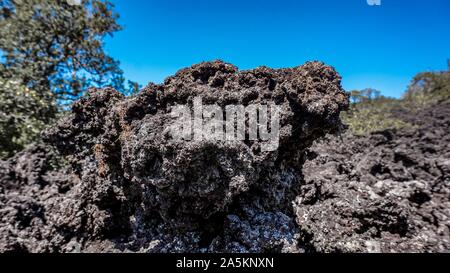 Rangitoto Island (Scenic Reserve) in der Nähe von Auckland, Neuseeland Stockfoto