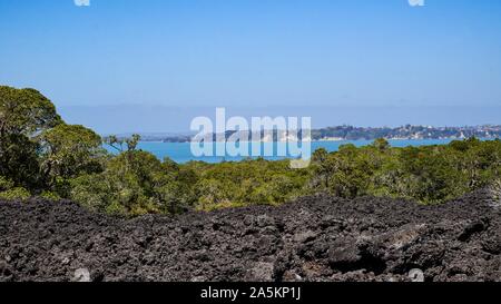 Rangitoto Island (Scenic Reserve) in der Nähe von Auckland, Neuseeland Stockfoto