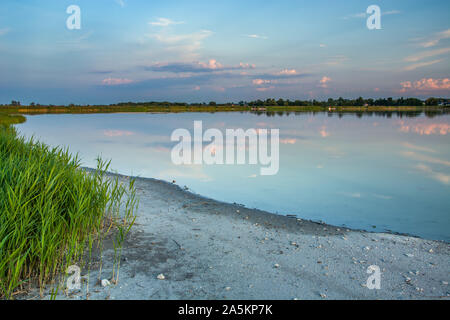 Grün Schilf am Ufer des Sees und am Abend Wolken am blauen Himmel Stockfoto