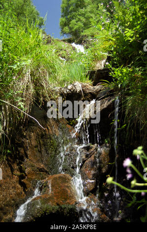 Nahaufnahme einer Kaskade auf dem Stream bekannt als Ruisseau d'Arbu in der Nähe von Port de Lers, Ariège, Royal, Frankreich, in den Pyrenäen Stockfoto