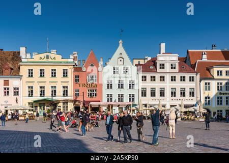 Farbenfrohe Bürgerhäuser am Raekoja plats, Tallinn, Estland Stockfoto