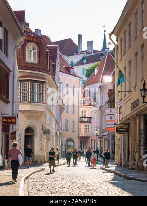 Pikk Straße, Tallinn, Estland Stockfoto