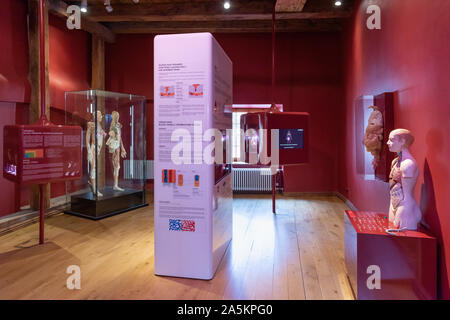 Estnische Gesundheitswesen Museum, Tallinn, Estland Stockfoto
