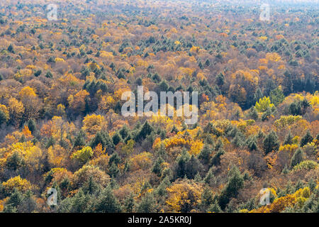 Anzeigen von Baumkronen in schönen Herbstfarben vom See von den Wolken in Porcupine Mountains Michigan Stockfoto