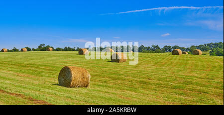 Runde Heu Querhölzer in einem Feld, KY. Stockfoto