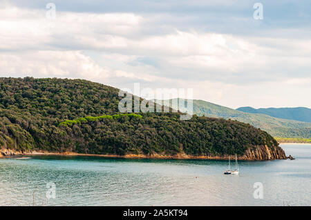 Zwei yahts Floating in der Nähe der malerischen Landschaft von Cala Violina Strand im Tyrrhenischen Meer Bucht, die von grünen Wald in der Provinz von Grosseto in der Toskana umgeben Stockfoto