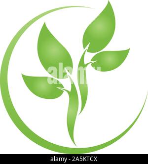 Pflanze, Blätter, Baum, Heilpraktiker, logo Stock Vektor
