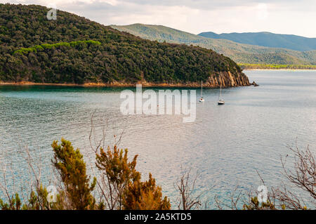 Zwei yahts Floating in der Nähe der malerischen Landschaft von Cala Violina Strand im Tyrrhenischen Meer Bucht, die von grünen Wald in der Provinz von Grosseto in der Toskana umgeben Stockfoto