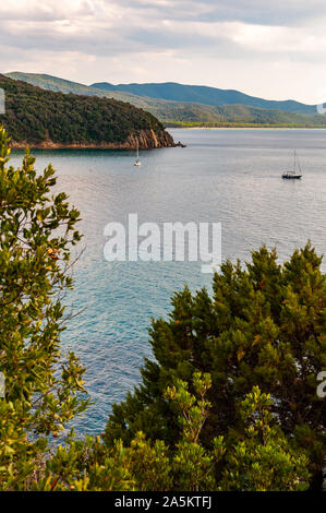 Zwei yahts Floating in der Nähe der malerischen Landschaft von Cala Violina Strand im Tyrrhenischen Meer Bucht, die von grünen Wald in der Provinz von Grosseto in der Toskana umgeben Stockfoto