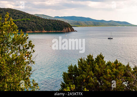 Zwei yahts Floating in der Nähe der malerischen Landschaft von Cala Violina Strand im Tyrrhenischen Meer Bucht, die von grünen Wald in der Provinz von Grosseto in der Toskana umgeben Stockfoto