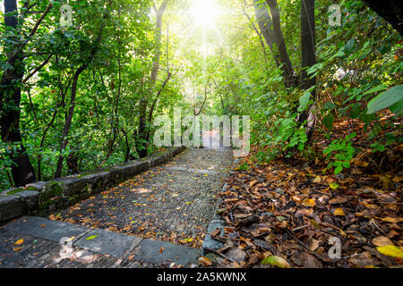 Sonnenlicht Fackeln durch die dichten Bäume nach einem leichten Regen auf einen Stein weg vom Friedhof und Park auf Castle Hill in Nizza, Frankreich. Stockfoto