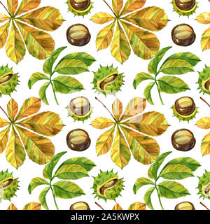 Das Blatt und die Mutter der Kastanie, Herbst Themen in Aquarell Abbildung. Muster und Strukturen im Herbst Thema auf weißem Hintergrund. Raster Stockfoto