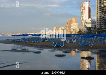 Reihen von leeren blauen Liegestühle und Sonnenschirme am Strand Playa de Levante Strand, sehr früh am Sonntagmorgen im Oktober, Benidorm, Alicante, Spanien Stockfoto