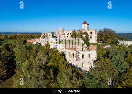 Die Ruinen der mittelalterlichen Burg Tenczyn in Rudno in der Nähe von Krakau in Polen. Luftaufnahme im Herbst Stockfoto