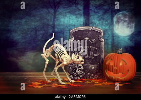 Scary Halloween Skelett Katze mit Grabstein Stockfoto