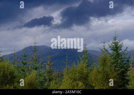 Kiefernwald in der bergigen Landschaft der Trossachs im südlichen Teil der Schottischen Highlands von Schottland Großbritannien Stockfoto