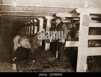 In der Grube pony Stall in einem unterirdischen British Coal Mine 1940 Stockfoto