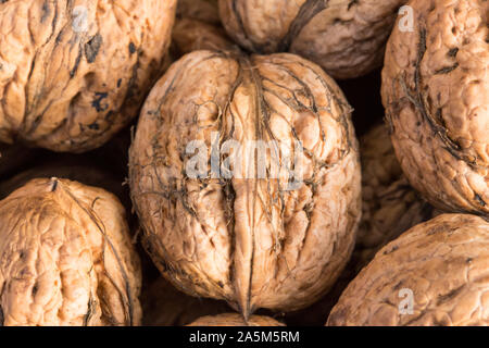 Walnuss Hintergrund, zerstreuten Haufen von Walnüssen. Walnüsse von Juglans regia. Stockfoto