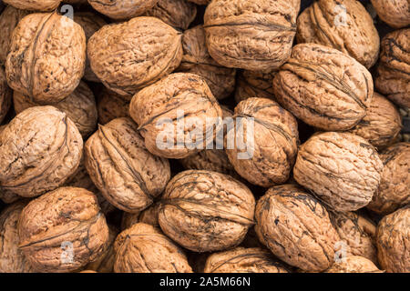 Walnuss Hintergrund, zerstreuten Haufen von Walnüssen. Walnüsse von Juglans regia. Stockfoto