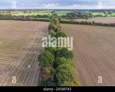Luftaufnahme von einem Baum- und einige Felder in einer deutschen Landschaft Stockfoto