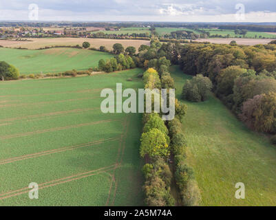 Luftaufnahme von ein paar mit einer Draisine auf einer stillgelegten Bahnstrecke Stockfoto