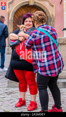 Frau mit Hund im Gespräch mit Freund, touristische im Hintergrund, Prag, Tschechische Republik Stockfoto