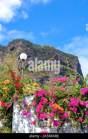 Bunte Bougainvillea Blumen auf einem Zaun in Madeira, Portugal. Typisch mediterranen Blumen. Dornige dekorativen Ranken, Büsche oder Bäume. Straßenlaterne und Felsen im Hintergrund. Flora. Stockfoto