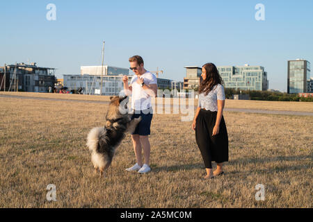 Paar ihren Hund in Strand Stockfoto