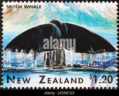 Pottwale tauchen auf Neuseeland Briefmarke Stockfoto