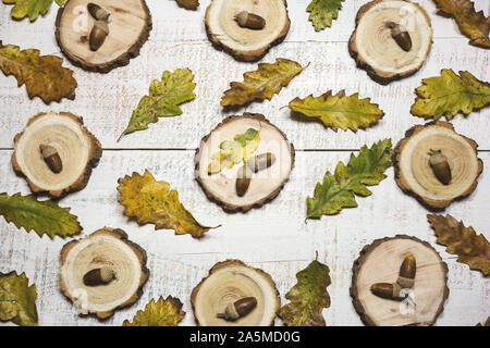 Blätter im Herbst Muster mit Eicheln auf weißem Holz- Hintergrund. Ansicht von oben, flach. Stockfoto