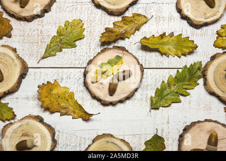 Blätter im Herbst Muster mit Eicheln auf weißem Holz- Hintergrund. Ansicht von oben, flach. Stockfoto