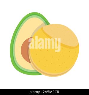 Avocado und tortilla Essen tradition Mexiko Symbol Vektor illustration Stock Vektor