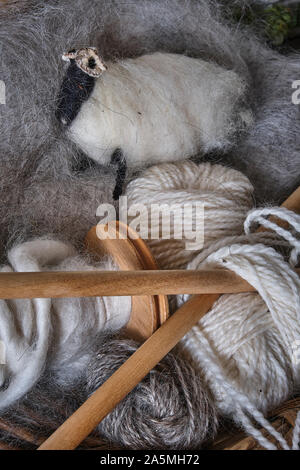 Natürliche Schafe Wolle und Stricknadeln Stockfoto