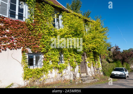 Virginia Creeper wächst an der Wand eines Hauses, Mont-Saint-Michel, Frankreich Stockfoto