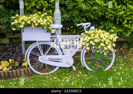 Am Straßenrand Fahrrad weiß lackiert mit blume Anzeige der Gelben surfina Petunien. Elswick Beste Gehaltene Dorf Lancashire England Großbritannien Stockfoto