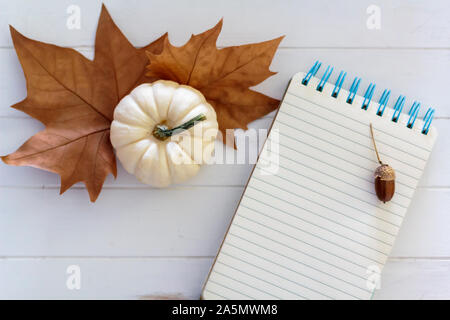 Blick von oben auf die weiße Kürbis, trockene Blätter und Notebook mit Acorn Stockfoto