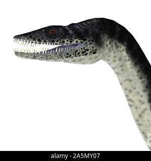 Plesiosaurus war eine fleischfressende marine Reptil, die in den umgebenden Meere England während der Kreidezeit lebten. Stockfoto