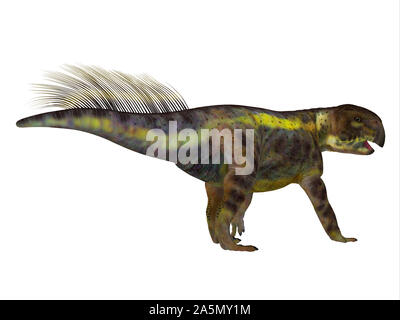 Psittacosaurus war ein Pflanzenfresser Ceratopsian Dinosaurier, die in Asien in der Kreidezeit lebten. Stockfoto