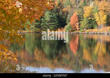 Glänzende Reflexe herbstlicher Waldfarben an einem ruhigen See in Ontario Stockfoto