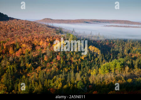 Tofte, Minnesota. Herbst Farbe in den Superior National Forest. Am frühen Morgen Nebel bedeckt die Landschaft. Stockfoto