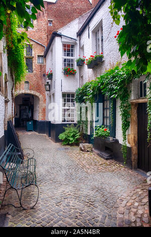 Blick auf einen historischen Innenhof mit mittelalterlichen Häusern, Antwerpen, Flandern, Belgien Stockfoto