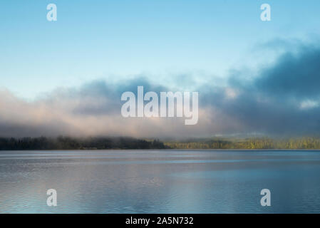 Quinault, Washington. Nebel Rollen in über Lake Quinault im Olympic National Park an einem schönen Tag. Stockfoto