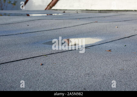 Wassersackbildung Regenwasser auf flachdach nach Regen durch Entwässerung Problem ist. Dach undicht, Beilegung oder absacken. Stockfoto