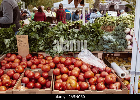 Boston, Massachusetts - Oktober 3., 2019: Frische Tomaten zum Verkauf an einen Bauernmarkt im Copley Square auf einen Tag fallen. Solanum Lycopersicum Stockfoto
