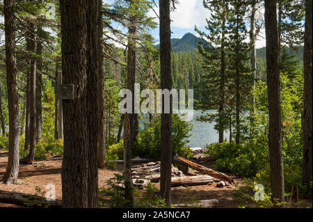 Einer der Campingplätze auf Averill See im Olallie Lake Scenic Area des Mt. Hood National Forest, Oregon. Stockfoto