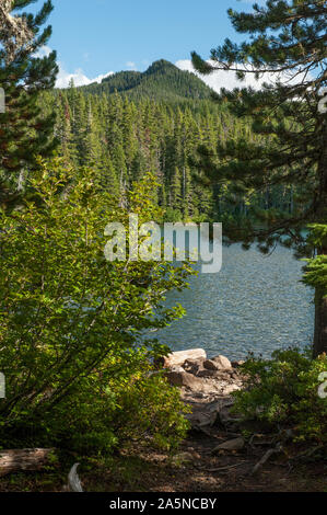 Eine Ansicht der doppelten Spitzen aus Averill See in Oregon Olallie Lake Scenic Area Stockfoto