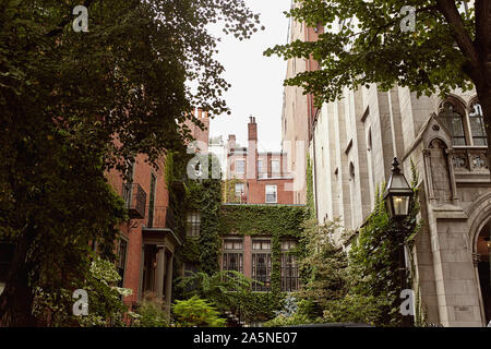 Innenhof mit üppigen, grünen Laub im historischen Beacon Hill, Boston, Massachusetts. Stockfoto