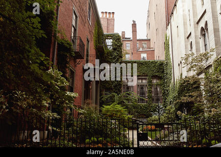 Innenhof mit üppigen, grünen Laub im historischen Beacon Hill, Boston, Massachusetts. Stockfoto