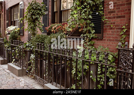 Nahaufnahme von schmiedeeisernen Zaun durch Laub im historischen Viertel von Beacon Hill, Boston, Massachusetts, umgeben. Stockfoto